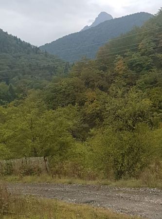  ჩხალთა