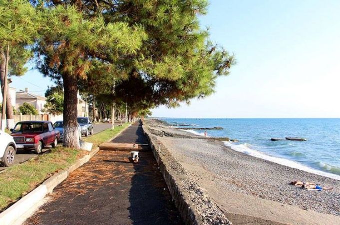 ოჩამჩირე