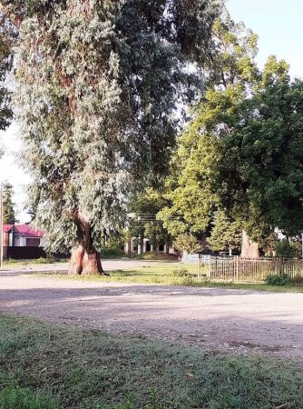  ზემო ბარღები